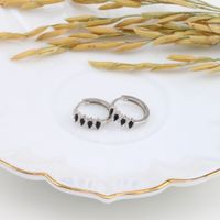1 Pair Elegant Lady Color Block Sterling Silver Plating Inlay Zircon White Gold Plated Gold Plated Hoop Earrings main image 2