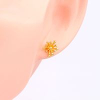 1 Pair Simple Style Flower Sterling Silver Plating White Gold Plated Gold Plated Ear Studs main image 2