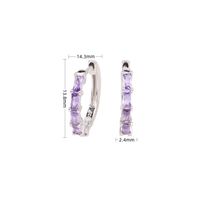 1 Pair Classic Style Streetwear Geometric Sterling Silver Inlay Zircon Hoop Earrings sku image 9