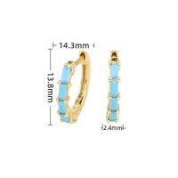 1 Pair Classic Style Streetwear Geometric Sterling Silver Inlay Zircon Hoop Earrings sku image 8