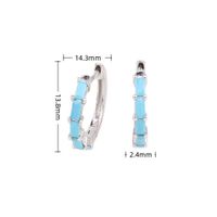 1 Pair Classic Style Streetwear Geometric Sterling Silver Inlay Zircon Hoop Earrings sku image 7