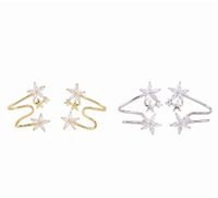 1 Pair Retro Sweet Flower Sterling Silver Plating Inlay Zircon White Gold Plated Gold Plated Ear Clips main image 1