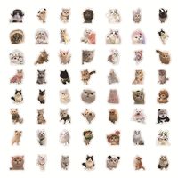 60 Pieces Of Realistic Kitten Stickers Cute Cat Cute Expression Creative Decorative Water Cup Notebook Journal Small Stickers main image 3