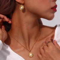 Simple Style Irregular Stainless Steel Enamel Plating 18k Gold Plated Earrings Necklace main image 2