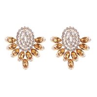 Retro Lady Ethnic Style Wings Alloy Resin Inlay Artificial Diamond Women's Ear Studs sku image 4
