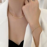Ins-stil Einfarbig Titan Stahl Armbänder Halskette main image 2