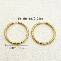 1 Pair Simple Style Round Plating 304 Stainless Steel 14K Gold Plated Hoop Earrings sku image 1