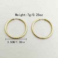 1 Pair Simple Style Round Polishing Plating 304 Stainless Steel 14K Gold Plated Hoop Earrings main image 4