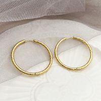 1 Pair Simple Style Round Polishing Plating 304 Stainless Steel 14K Gold Plated Hoop Earrings main image 5