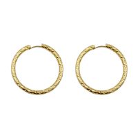 1 Pair Casual Simple Style Circle Polishing Plating 304 Stainless Steel 14K Gold Plated Hoop Earrings sku image 1