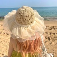 Women's Vacation Simple Style Bow Knot Big Eaves Sun Hat sku image 43