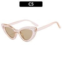 Cool Style Color Block Ac Cat Eye Rhinestone Full Frame Women's Sunglasses sku image 7