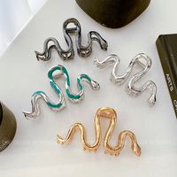 Ins Style Snake Alloy Hollow Out Hair Claws main image 1