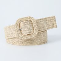 Sweet Simple Style Solid Color Pp Grass Plastic Women's Woven Belts sku image 3