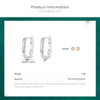 1 Pair Elegant Oval Plating Three-dimensional Sterling Silver Rose Gold Plated Rhodium Plated Earrings main image 4