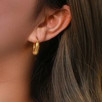 1 Paar Einfacher Stil Einfarbig Rostfreier Stahl Überzug 18 Karat Vergoldet Reif Ohrringe main image 6