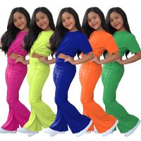 Einfacher Stil Einfarbig Polyester Mädchen Kleidung Sets main image 1