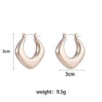 1 Paar Einfacher Stil Runden Einfarbig Rostfreier Stahl Ohrringe main image 5