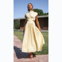 Women's A-line Skirt Streetwear Standing Collar Sleeveless Solid Color Midi Dress Street main image 3