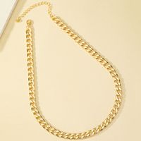 Wholesale Jewelry Hip-hop Retro Simple Style Solid Color Alloy Necklace main image 3