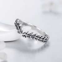 Ins Style Simple Style Leaves Sterling Silver Plating Inlay Zircon Rings main image 4