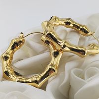 1 Pair Elegant Irregular Plating 304 Stainless Steel Hoop Earrings sku image 1