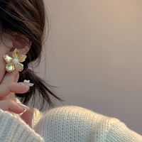 Estilo Moderno Estilo Coreano Flor Aleación Embutido Perlas Artificiales Chapado En Oro Mujeres Pendientes main image 3
