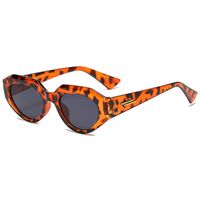 Hip-hop Color Block Leopard Pc Special-shaped Mirror Full Frame Women's Sunglasses sku image 2