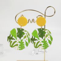 Vacances Plante Fruit Fleur Arylique Impression Femmes Boucles D'oreilles main image 6