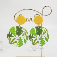 Vacation Plant Fruit Flower Arylic Printing Women's Drop Earrings main image 6