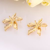 Elegant Leaves Flower Metal Plating Gold Plated Women's Ear Studs main image 4
