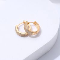1 Pair Shiny Round Copper Plating Inlay Artificial Rhinestones Gold Plated Silver Plated Hoop Earrings main image 6