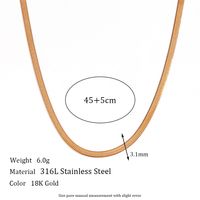 Basic Classic Style Solid Color Stainless Steel Plating 18k Gold Plated Anklet Necklace main image 3