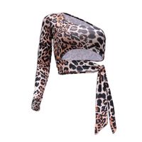 Women's Blouse Long Sleeve T-shirts Printing Sexy Leopard main image 4