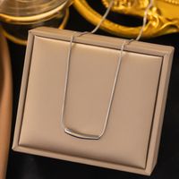 304 Stainless Steel 18K Gold Plated IG Style Simple Style Plating Solid Color Necklace main image 5