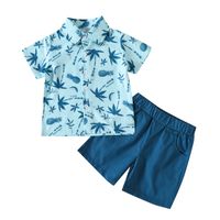 Casual Cartoon Pineapple Printing Cotton Boys Clothing Sets sku image 1