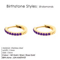 1 Pair Simple Style Round Plating Inlay Stainless Steel Zircon 14K Gold Plated Rose Gold Plated Earrings sku image 18