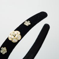 Elegant Luxuriös Blütenblatt Flanell Inlay Künstliche Perlen Strasssteine Haarband main image 6