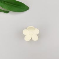 Cute Korean Style Flower Plastic Resin Stoving Varnish Hair Claws sku image 10