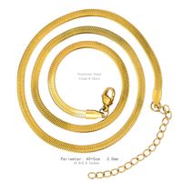 Stainless Steel Gold Plated Hip-Hop Simple Style Plating Solid Color Necklace sku image 3