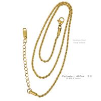 Stainless Steel Gold Plated Hip-Hop Simple Style Plating Solid Color Necklace sku image 5
