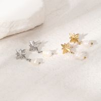 1 Pair Sweet Commute Eight Awn Star Pearl Plating Stainless Steel Drop Earrings main image 5