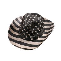 Unisex Cowboy Style Classic Style American Flag Crimping Straw Hat sku image 7