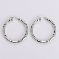 Simple Style Geometric Stainless Steel Plating Earrings 1 Pair main image 8