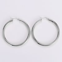 Simple Style Geometric Stainless Steel Plating Earrings 1 Pair main image 9