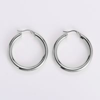 Simple Style Geometric Stainless Steel Plating Earrings 1 Pair sku image 2