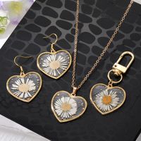 Casual Cute Vacation Heart Shape Alloy Resin Wholesale Earrings Necklace main image 1