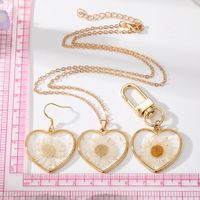 Casual Cute Vacation Heart Shape Alloy Resin Wholesale Earrings Necklace main image 5