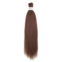 Frau Einfacher Stil Straße Japanische Seide Seitenpunkte Langes Glattes Haar Perücken sku image 6