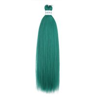 Women's Simple Style Street Japanese Silk Side Points Long Straight Hair Wigs sku image 18